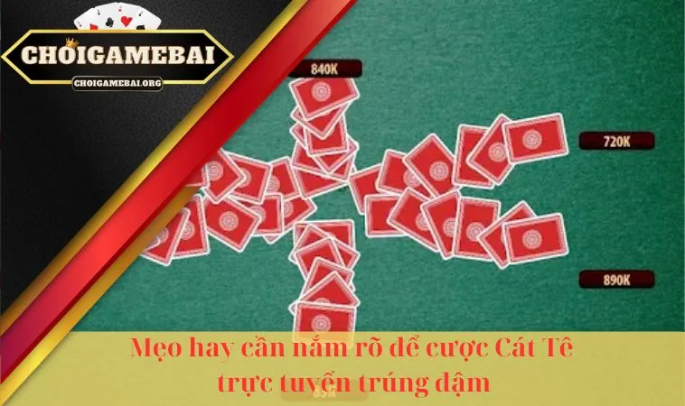 Mẹo hay cần nắm rõ để cược Cát Tê trực tuyến trúng đậm